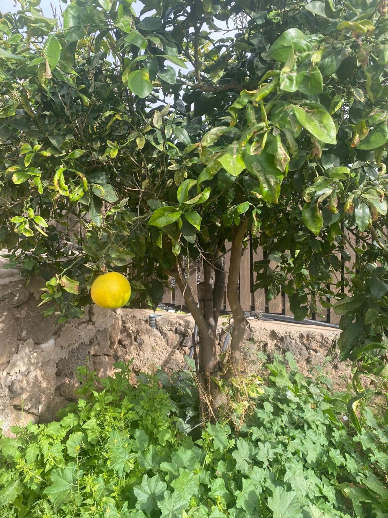Vallechico Villa Vallebron Ngoại thất bức ảnh